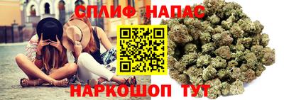 ПСИЛОЦИБИНОВЫЕ ГРИБЫ Можга