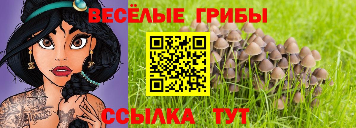 Великий Устюг  Галлюциногенные грибы ЛСД  Галлюциногенные грибы Cubensis  Вход с VPN 